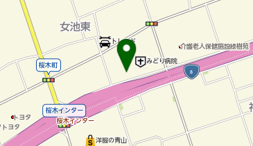 ヴィクトリアゴルフ 新潟桜木インター店の地図画像