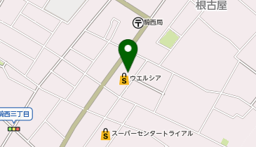 宅配ロッカーPUDO ウエルシア 騎西根古屋店の地図画像