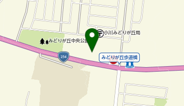 宅配ロッカーPUDO ヤオコー みどりが丘店の地図画像