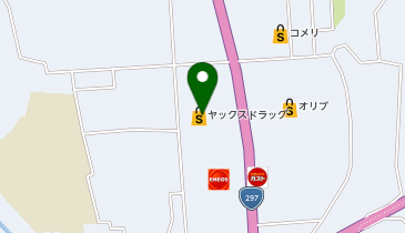 宅配ロッカーPUDO ヤックスドラッグ 大多喜店の地図画像