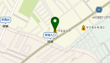 宅配ロッカーPUDO ウエルシア 白井冨士店の地図画像