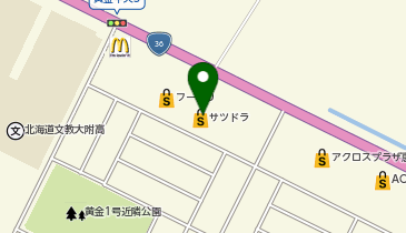 宅配ロッカーPUDO サツドラ 恵庭黄金店の地図画像