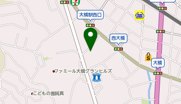 宅配ロッカーPUDO 新生堂薬局 南大橋店の地図画像