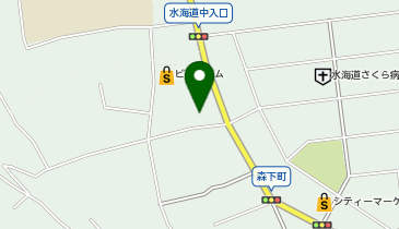 宅配ロッカーPUDO ウエルシア 常総北水海道店の地図画像
