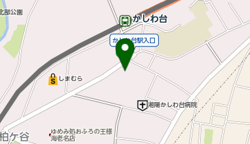 宅配ロッカーPUDO ウェルパーク 海老名かしわ台店の地図画像