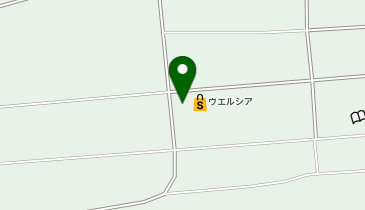 宅配ロッカーPUDO ウエルシア 上伊那飯島町店の地図画像