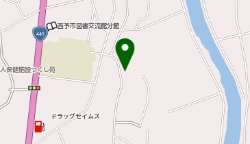フロンティア薬局野村おとい店の地図画像