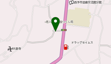 フロンティア薬局野村店の地図画像