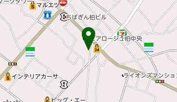 タイムズ柏中央第2の地図画像