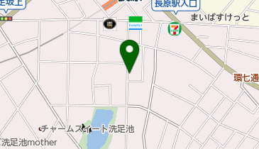 タイムズ上池台第4の地図画像