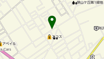 タイムズTAIRAYA狭山ヶ丘店の地図画像