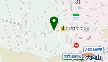 タイムズ大岡山駅前の地図画像