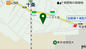 タイムズ上十条第10の地図画像