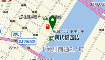タイムズ新潟グランドホテル第1の地図画像