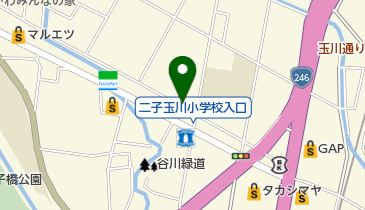 タマパーク玉川第11の地図画像