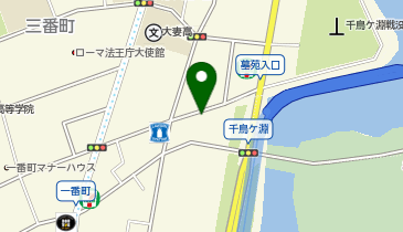 タイムズ一番町第10の地図画像