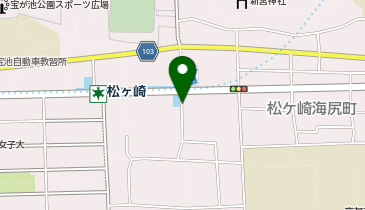 タイムズライフ松ヶ崎店第3の地図画像