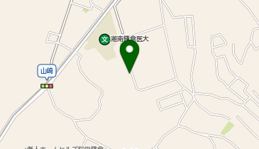 タイムズ湘南かまくらクリニックの地図画像