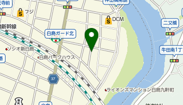 タイムズ白島九軒町第4の地図画像