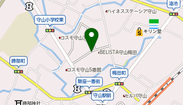 タイムズフレンドタウン守山(平面)の地図画像