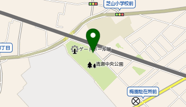 タイムズ清瀬市立中央公園の地図画像