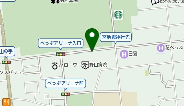タイムズ野口病院の地図画像