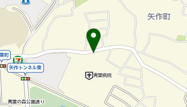 タイムズ日本調剤青葉薬局の地図画像