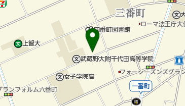 SEIUNPARK四番町の地図画像