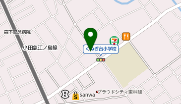 タマパーク東林間の地図画像