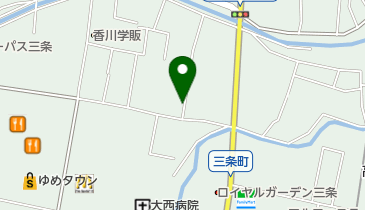 ナイスチケットパーク三条町 100の地図画像