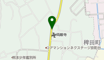 リパーク熊本出町の地図画像