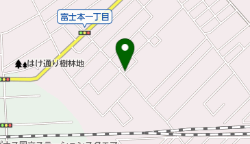 国分寺日吉町2丁目の地図画像