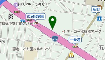 フェニーチェ堺駐車場の地図画像