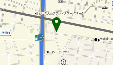 リパーク大山金井町第10の地図画像