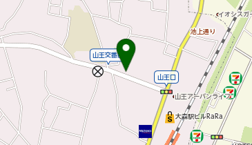 リパーク大田山王1丁目の地図画像