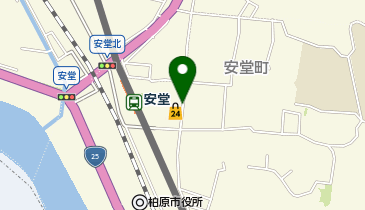 リパーク柏原安堂町の地図画像