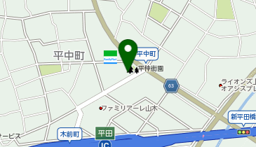 名古屋平中町の地図画像