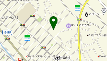 那覇市泊1丁目第5の地図画像