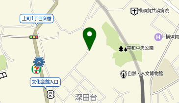 ミニッツパーク横須賀深田台第1の地図画像