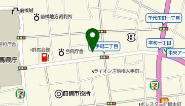 ショウワパーク前橋大手町(ネコの目システム)の地図画像