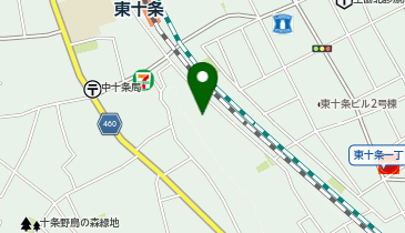 ショウワパーク東十条第2(ネコの目システム)の地図画像