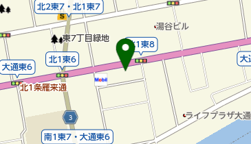 パークネット札幌大通東8の地図画像