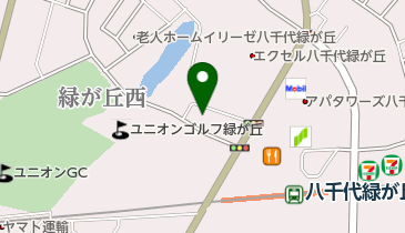 ナビパーク 大和田新田第2の地図画像