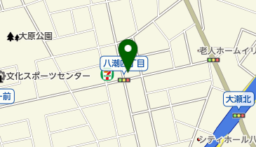 ナビパーク 八潮第5の地図画像