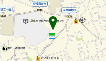 ナビパーク 向原第2の地図画像