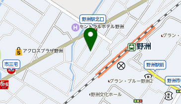 NPC24H野洲駅前第2パーキングの地図画像