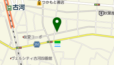 スペースECO 古河駅前第10の地図画像