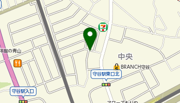 チケパ 守谷駅前第23の地図画像