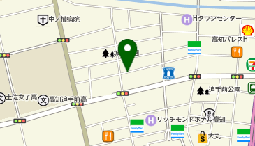 パークダイセイ 追手筋第1の地図画像