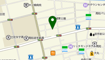 おクルマパークダイセイ 追手筋第3の地図画像